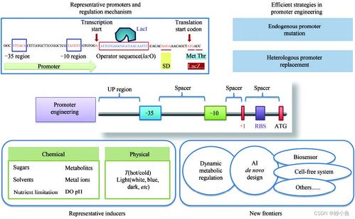 傳統(tǒng)行業(yè)與人工智能融合 材料、化學(xué)、物理、生物的發(fā)展與未來展望