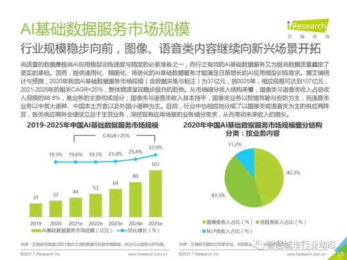 中國人工智能基礎(chǔ)軟件開發(fā)行業(yè)報告 2021 夯實(shí)智能底座，賦能產(chǎn)業(yè)變革