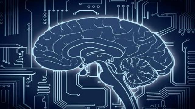 網(wǎng)紅送餐機(jī)器人 智能表象下的“無人”困境與自動駕駛的深層挑戰(zhàn)